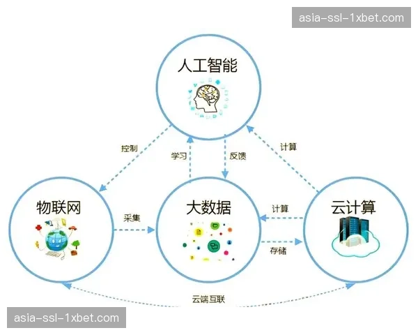 数据驱动决策成为常态 优化内容排播与市场推广策略
